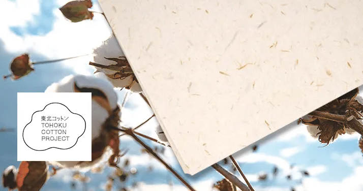 東北コットン名刺