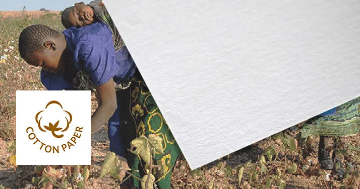 タンザニアコットン名刺