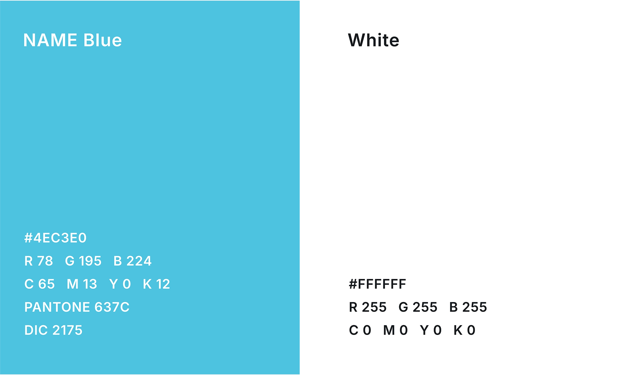 ブランドカラーチップ